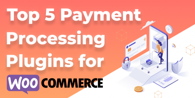 Image of the Top 5 Payment processing plugins for woocommerce