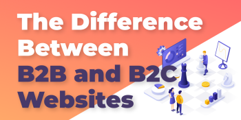 What is the difference between B2B and B2C websites?