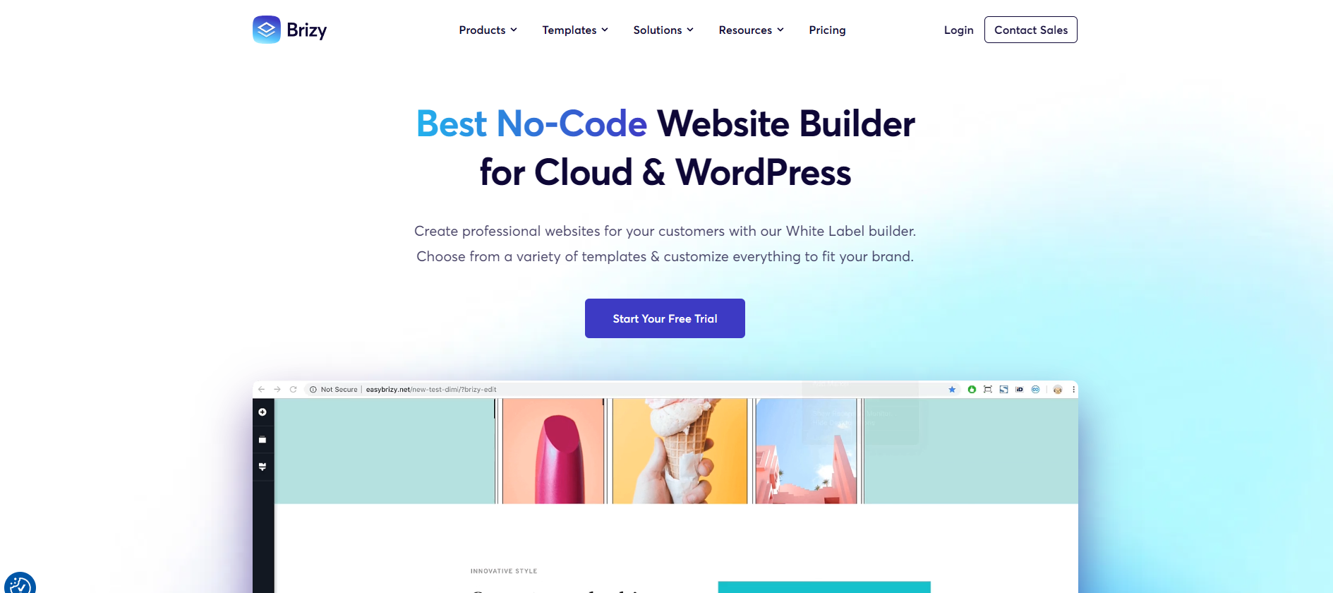 Brizy homepage screenshot