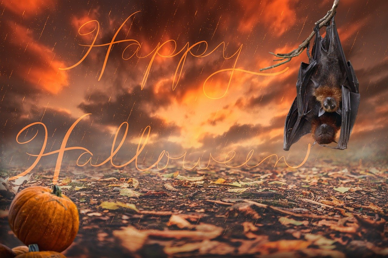 Happy halloween picture 