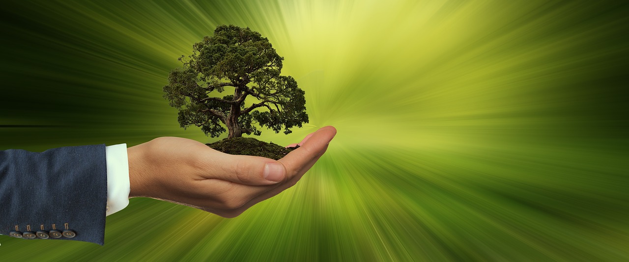 Sustainability representation