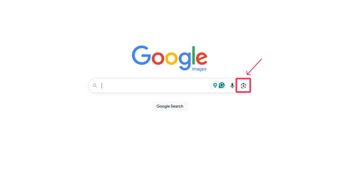 google images search