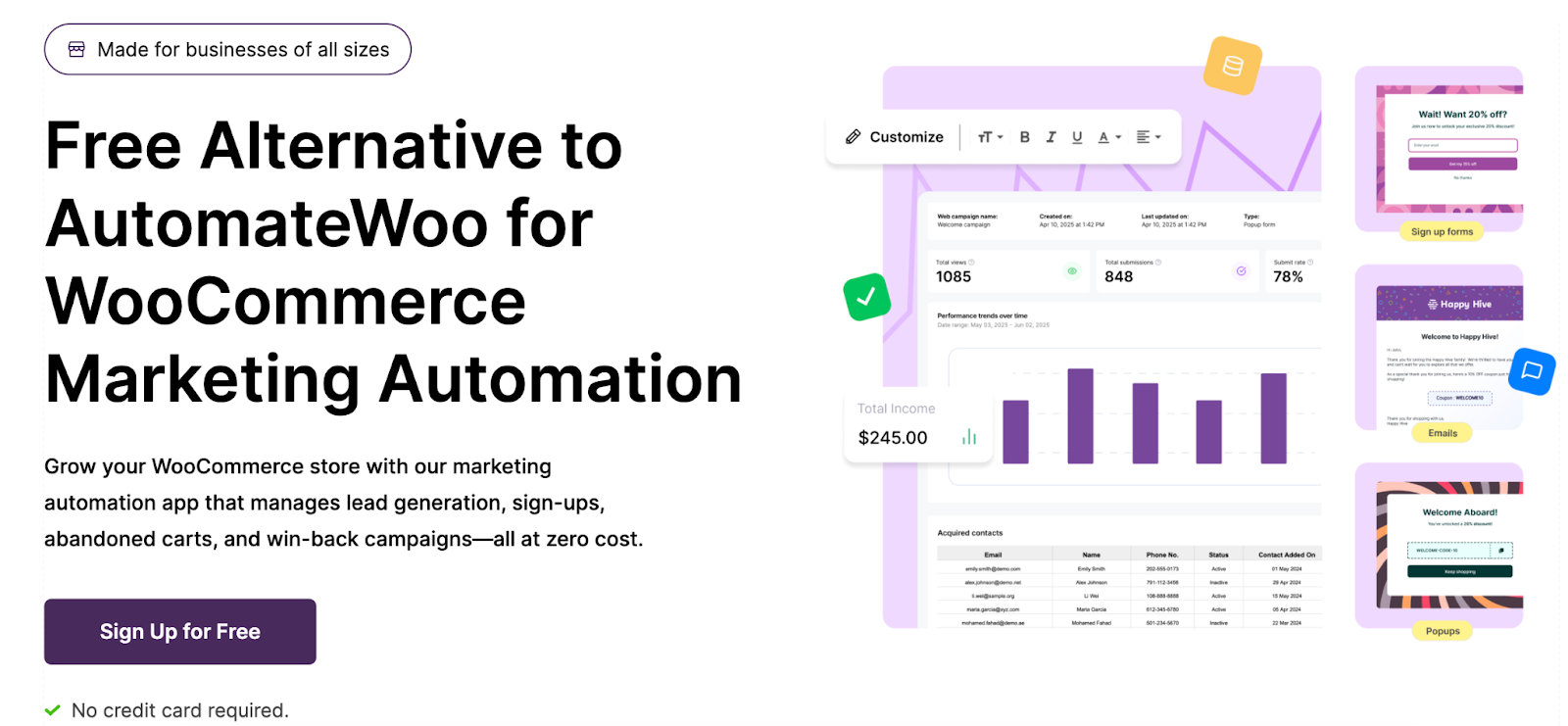 eCommerce Marketing Automation Plugin