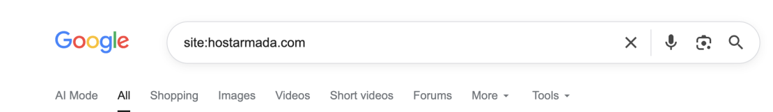 Google site search operator showing indexed pages from a domain