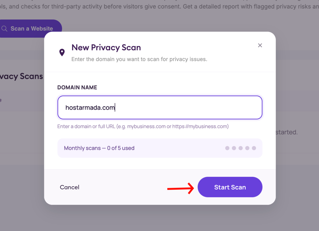 enter your website it will start the scan