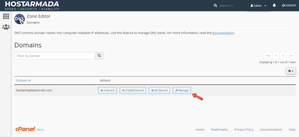 Manage Domain DNS records in cPanel