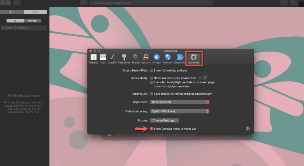Safari Browser - Show Develop menu in menu bar