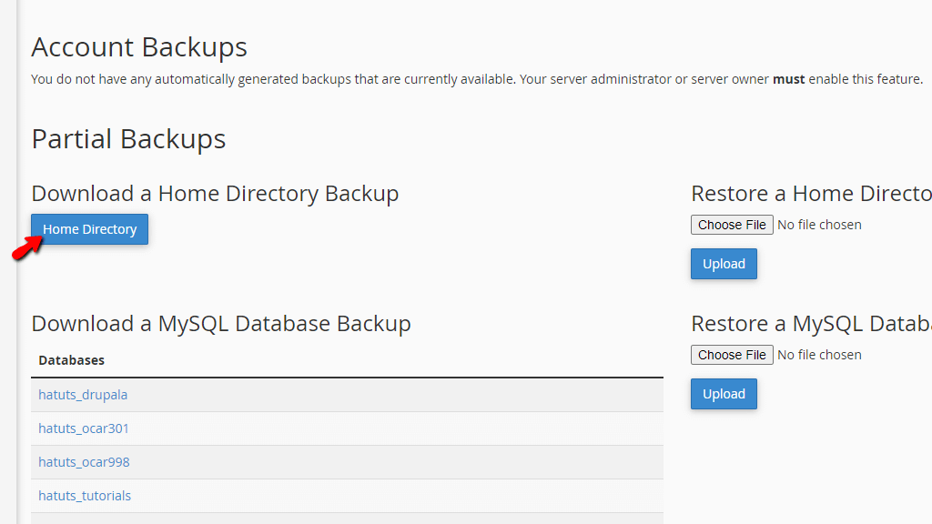 Generate cPanel Home Directory Backup