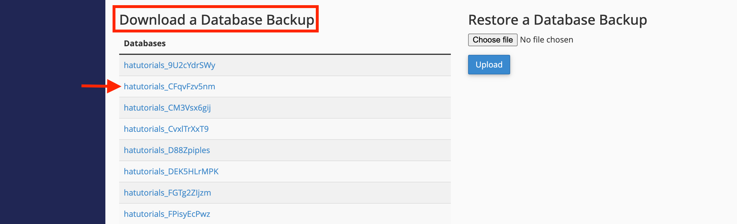 download-database-backup
