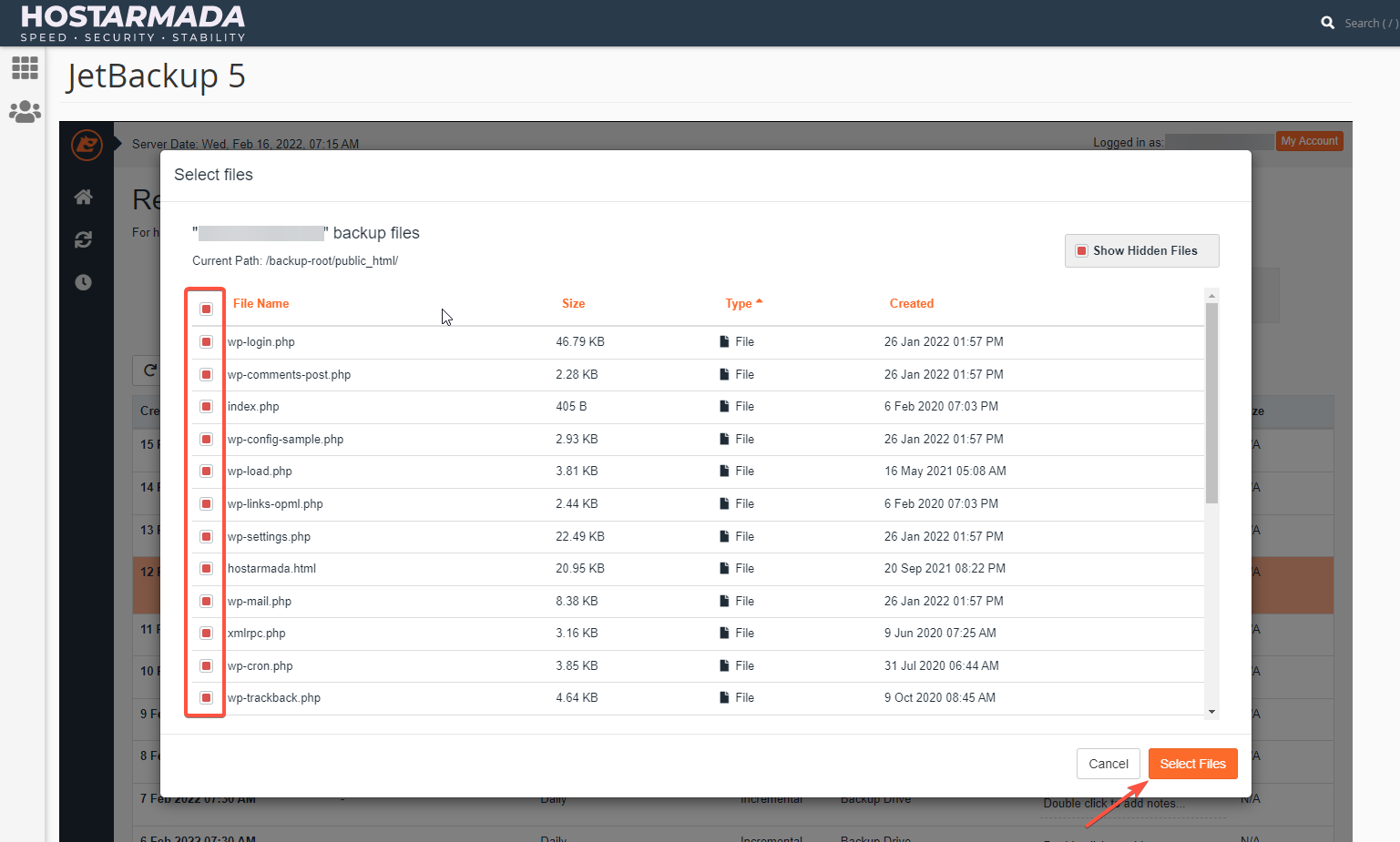 Selecting specific files for restoration