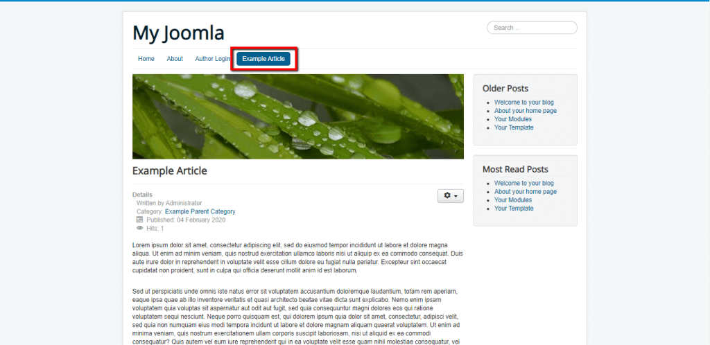 Article on the website frontend