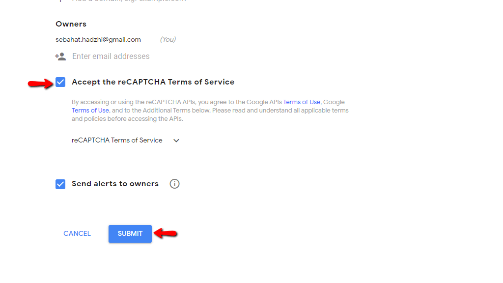 Submitting the form
