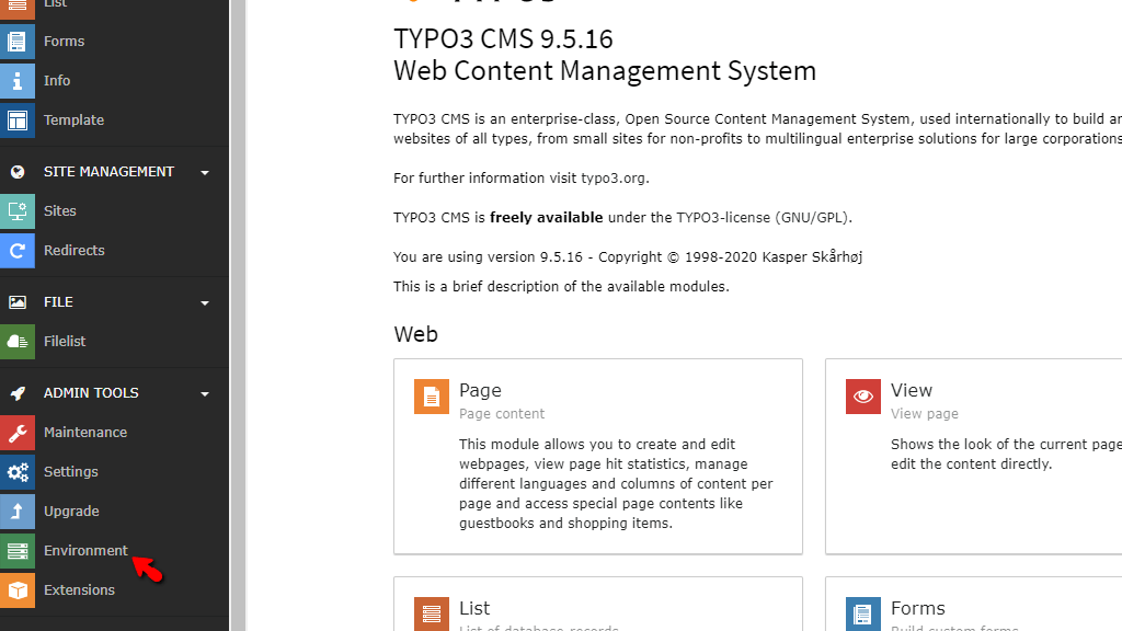 Access TYPO3 Environment Section