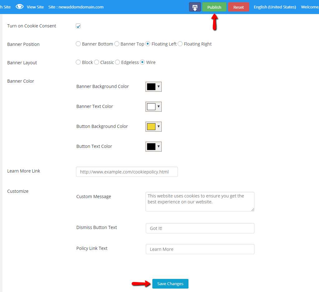 Saving and publishing your website