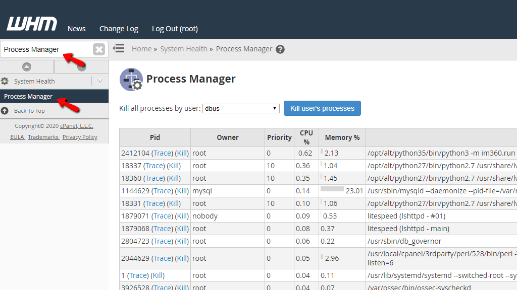 Access the process manager