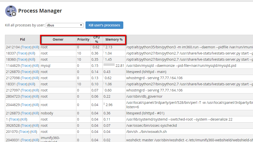 Additional parameters in the table of processes