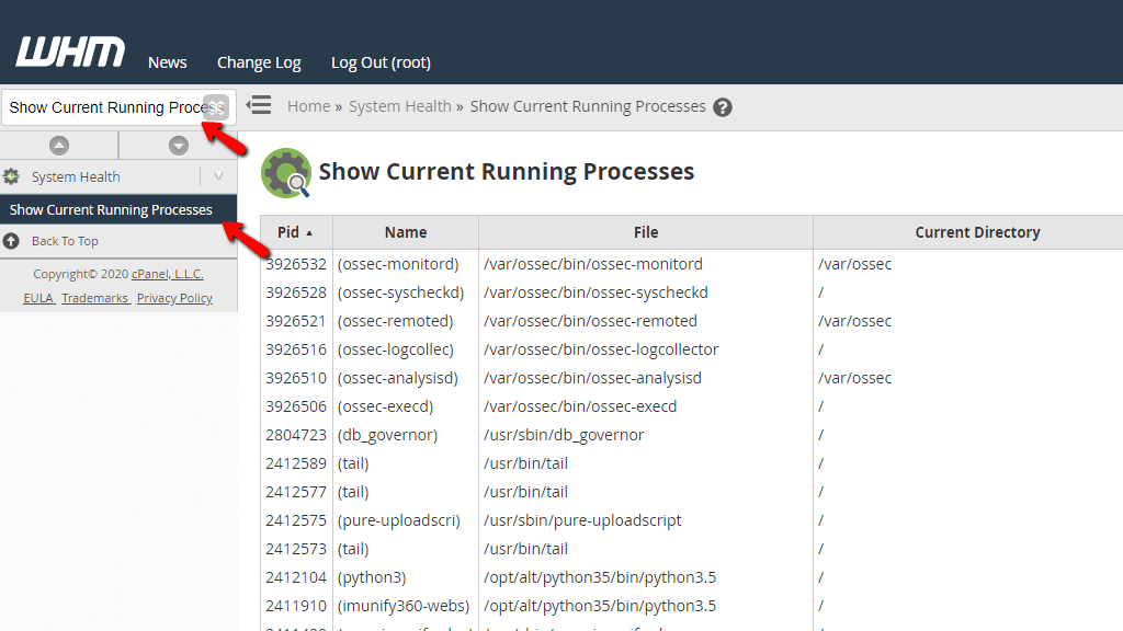 Find the Current Processes List