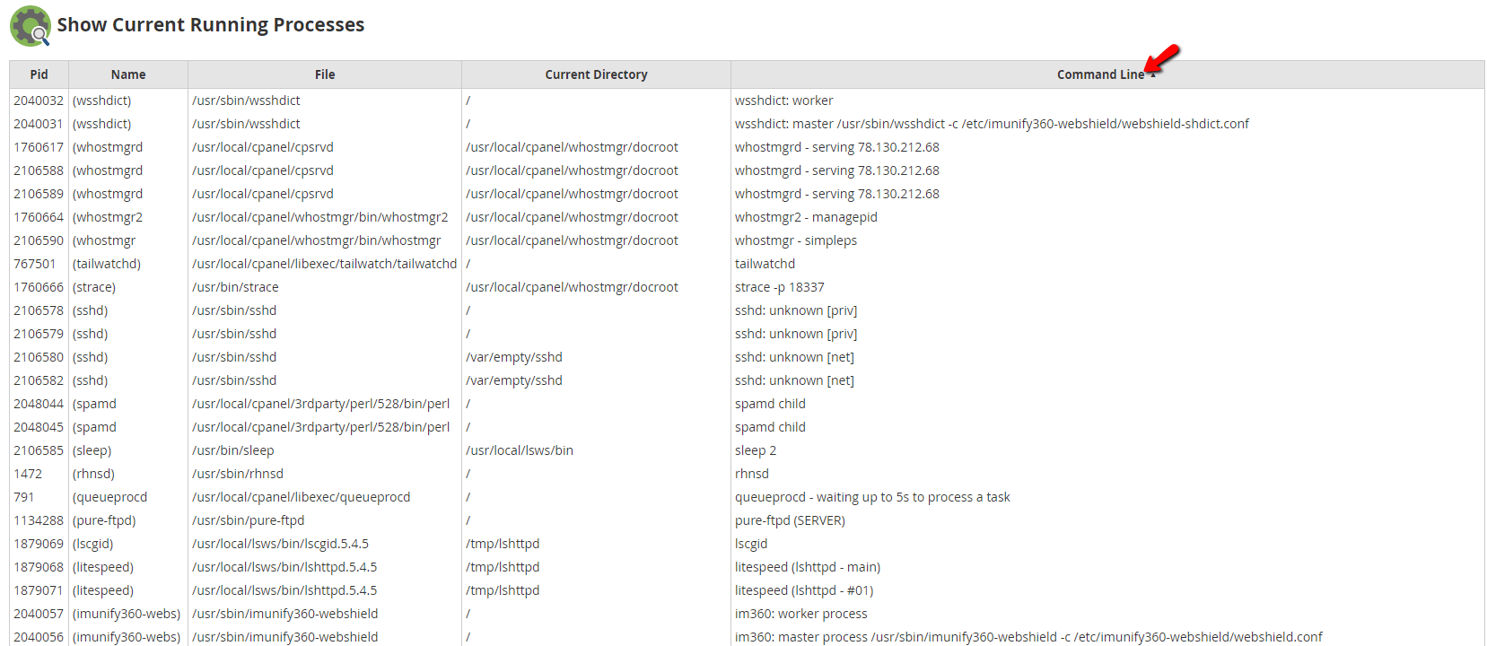Sort the processes based on their command 