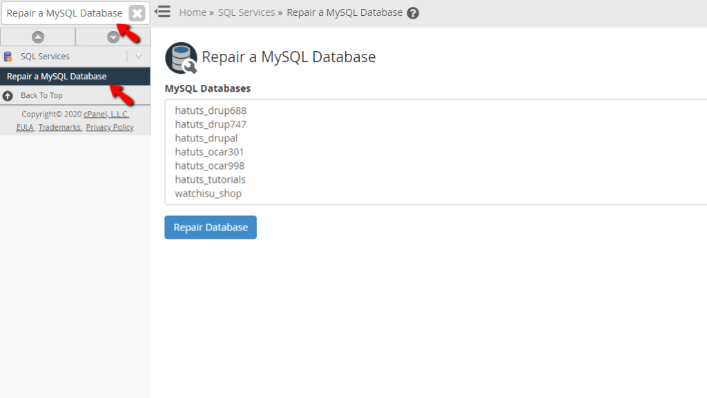 Accessing the Repair a MySQL Database feature