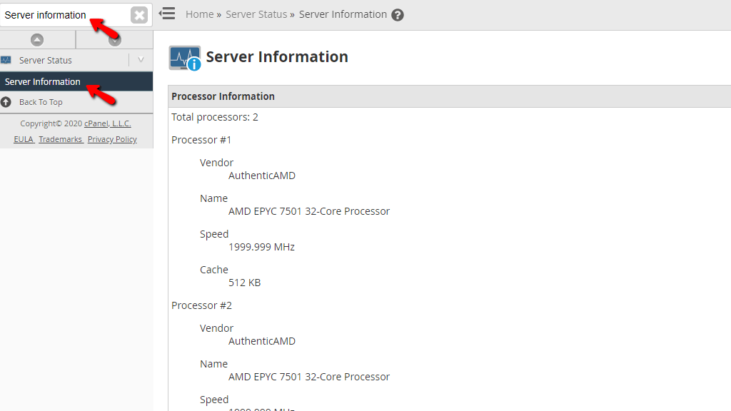 Accessing the Server Information feature