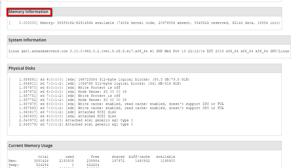 Memory Information section