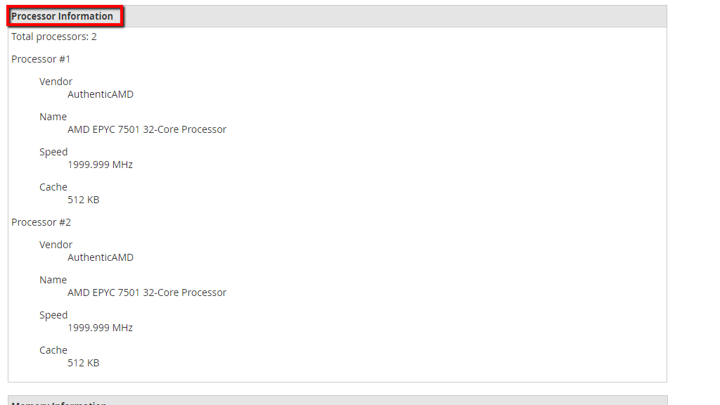 Processor Information section