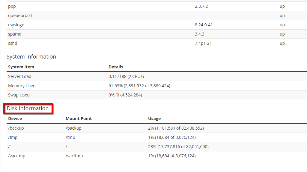 Disk Information section