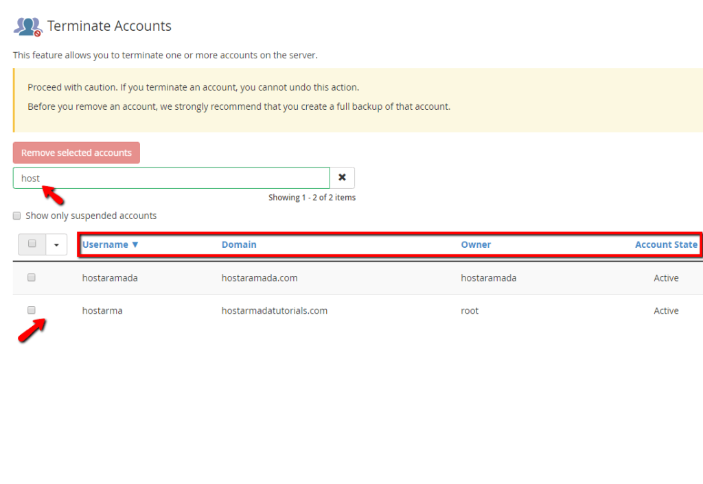 List of cPanel accounts